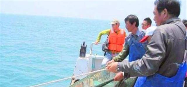 渔民多次捞到间谍鱼渔民在捕鱼过程中多次捕获所谓的间谍鱼这一现象，可能与多种因素有关。以下是一些可能的解释