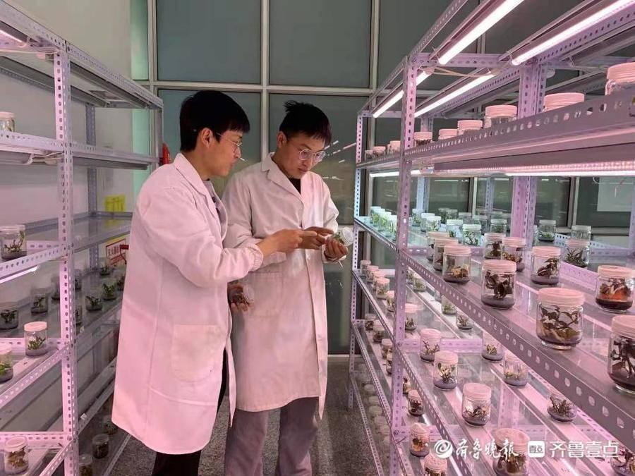与娃考入同校同专业与自己的孩子考入同一所学校并且同一个专业是一件令人兴奋的事情，这可能意味着你们有很多共同的话题和经历，也可以互相支持和鼓励。以下是一些建议，以帮助你们充分利用这一机会